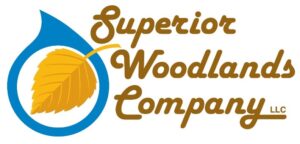 Gold Sponsor